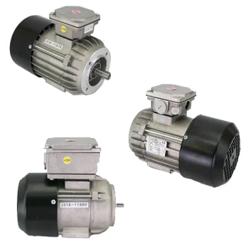 REXROTH MAF Induction Motors MAF100B-0150-FQ-S2-AG0-05-N1